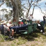 yrtleford - Avventura con il 4x4 sul mt. buffalo national park.